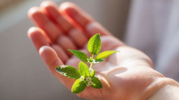 Top astuces inédites pour améliorer votre santé intestinale